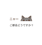 ねこしぐさスタンプ2（個別スタンプ：38）