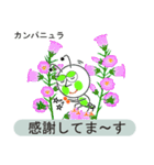 変わったユニークな花言葉（個別スタンプ：3）