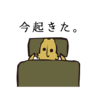 ドニワ（個別スタンプ：12）