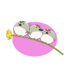 regulus regulus（個別スタンプ：4）