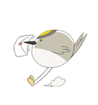 regulus regulus（個別スタンプ：11）