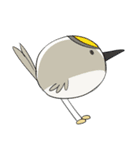 regulus regulus（個別スタンプ：13）