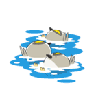 regulus regulus（個別スタンプ：19）