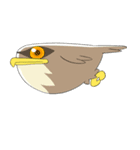 regulus regulus（個別スタンプ：35）