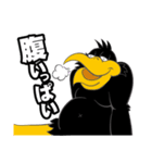 CORVO  『武井勇輝』（個別スタンプ：23）