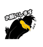 CORVO  『武井勇輝』（個別スタンプ：27）