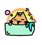 ここねこ（個別スタンプ：3）