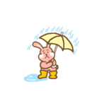 Rabbit with white cheek（個別スタンプ：23）