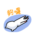 White Cat' Every Day（個別スタンプ：11）