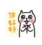 White Cat' Every Day（個別スタンプ：12）