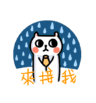 White Cat' Every Day（個別スタンプ：15）
