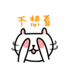 White Cat' Every Day（個別スタンプ：38）