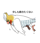 Creatures such as the cockatiel 4（個別スタンプ：7）