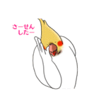 Creatures such as the cockatiel 4（個別スタンプ：21）
