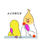 Creatures such as the cockatiel 4（個別スタンプ：24）