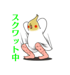 Creatures such as the cockatiel 4（個別スタンプ：25）
