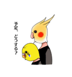 Creatures such as the cockatiel 4（個別スタンプ：30）