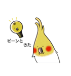 Creatures such as the cockatiel 4（個別スタンプ：33）