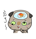 Master daily 2（個別スタンプ：1）