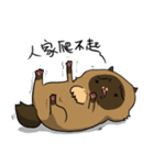 Master daily 2（個別スタンプ：4）