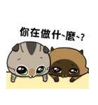Master daily 2（個別スタンプ：6）