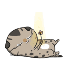 Master daily 2（個別スタンプ：7）
