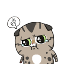 Master daily 2（個別スタンプ：12）