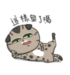 Master daily 2（個別スタンプ：15）