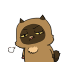 Master daily 2（個別スタンプ：18）