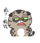 Master daily 2（個別スタンプ：19）