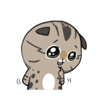 Master daily 2（個別スタンプ：20）