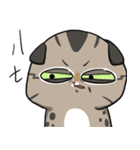 Master daily 2（個別スタンプ：21）