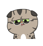 Master daily 2（個別スタンプ：22）
