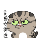 Master daily 2（個別スタンプ：29）