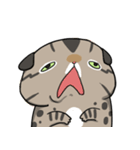 Master daily 2（個別スタンプ：32）