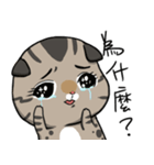 Master daily 2（個別スタンプ：33）