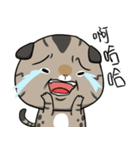 Master daily 2（個別スタンプ：36）