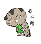 Master daily 2（個別スタンプ：39）