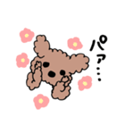 トイプのあくび（個別スタンプ：19）