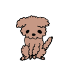 トイプのあくび（個別スタンプ：40）