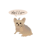 Cookie Story（個別スタンプ：1）