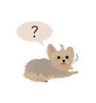 Cookie Story（個別スタンプ：2）