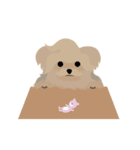 Cookie Story（個別スタンプ：13）