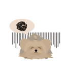 Cookie Story（個別スタンプ：19）