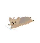 Cookie Story（個別スタンプ：31）
