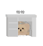 Cookie Story（個別スタンプ：35）