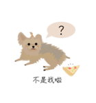 Cookie Story（個別スタンプ：38）