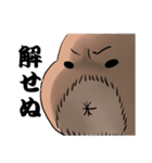 くま教授の診療簿（個別スタンプ：25）