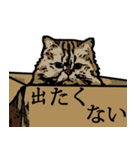 猫の日常No,1（個別スタンプ：32）