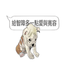 (NEW) BULLDOG and the Balloon（個別スタンプ：11）